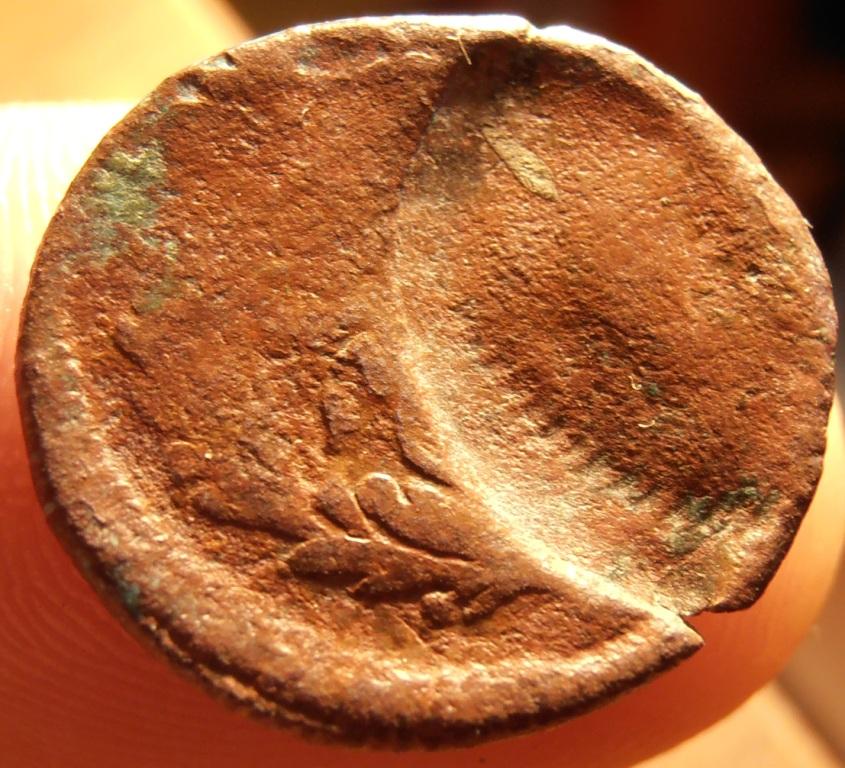 PB080057.JPG