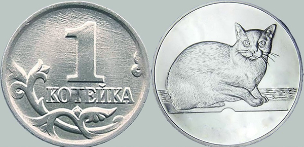 cat-coin-2.jpg